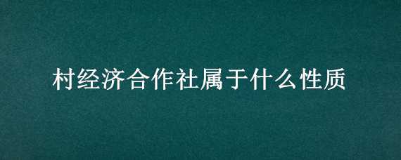 村经济合作社属于什么性质（村经济合作社属于什么性质的企业）