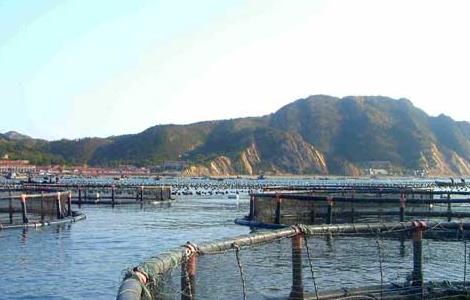 工厂化养鱼关键技术及发展策略（工业化养鱼总投资）