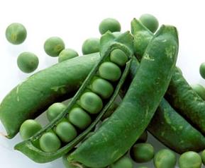 菜豌豆的营养价值 菜豌豆的营养价值与食用功效