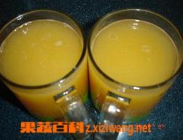木瓜果汁的常用做法 木瓜果汁的常用做法大全