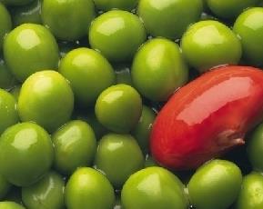 豌豆营养价值和功效作用（豌豆营养价值和功效作用图片）
