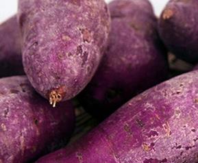 紫红薯是转基因吗（紫色红薯是转基因吗）