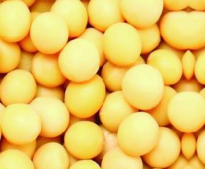 黄豆的营养价值 黄豆的营养价值是什么