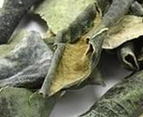 干冬瓜皮有什么作用（干冬瓜皮有什么作用吗）