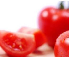 西红柿的作用 西红柿的作用与禁忌