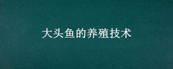 大头鱼的养殖技术