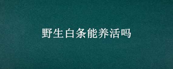 野生白条能养活吗 小白条是野生的吗