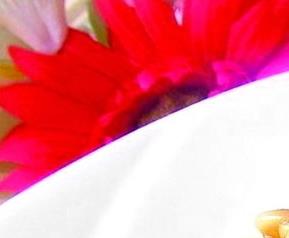 松仁玉米材料和做法 松仁玉米做法家常做法