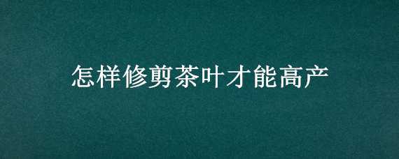 怎样修剪茶叶才能高产 茶树怎么修剪