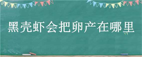 黑壳虾会把卵产在哪里 怎么知道黑壳虾快要产卵了