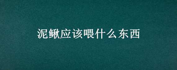 泥鳅应该喂什么东西（泥鳅喂什么东西吃）