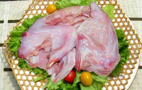 孕妇能吃兔肉吗