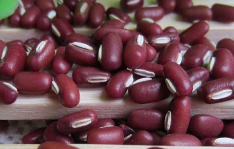 孕妇可以吃赤小豆吗 孕妇可以吃赤小豆吗?