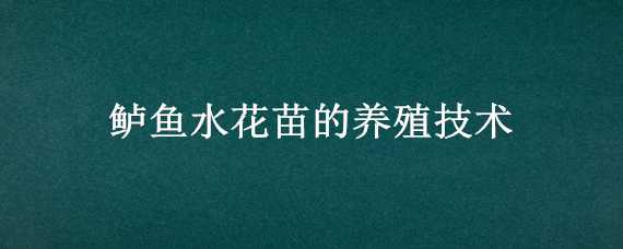 鲈鱼水花苗的养殖技术（鲈鱼水花苗的养殖技术和管理）