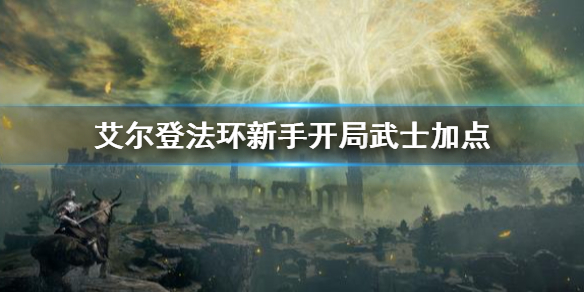 艾尔登法环新手开局武士加点