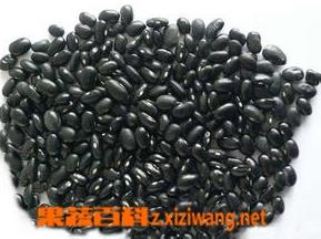 黑芸豆的功效与作用 黑芸豆的功效与作用及禁忌