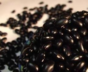 黑芸豆的营养价值 黑芸豆营养价值及功效