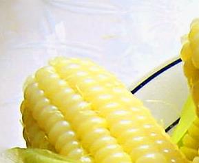 玉米粘虫防治技巧 玉米粘虫防治技巧视频