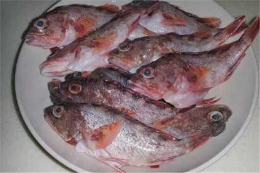 石狗公鱼多少钱一斤 石狗公鱼营养价值