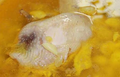 白果炖鸡常见的四种做法 白果炖鸡的做法与功效窍门