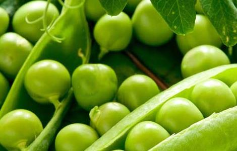 豌豆的营养价值 白豌豆与青豌豆的营养价值