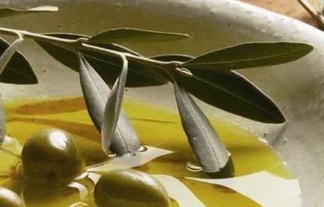 橄榄油的美容方法 橄榄油的美容方法100种,橄榄油多少钱一瓶
