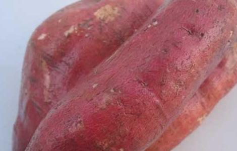 红薯减肥法怎么吃 红薯减肥的吃法