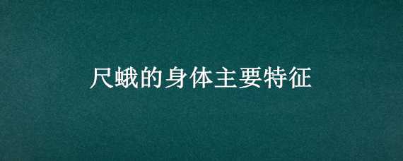 尺蛾的身体主要特征（尺蛾科的主要特征）