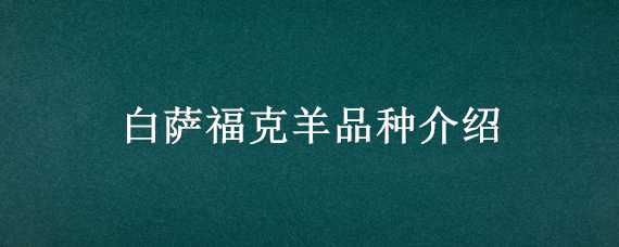 白萨福克羊品种介绍 白萨福克羊品种介绍视频