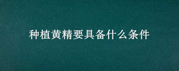 种植黄精要具备什么条件（种植黄精要具备什么条件和要求）