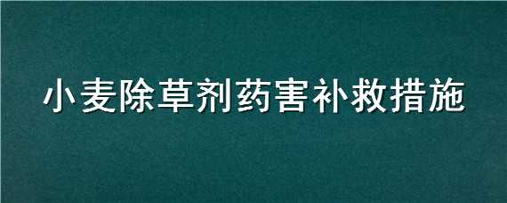 小麦除草剂药害补救措施