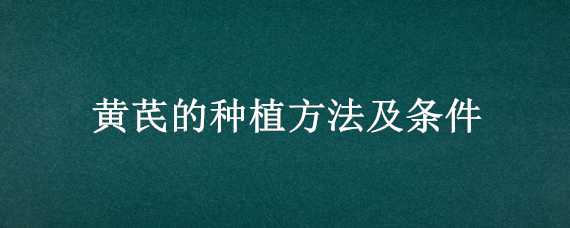 黄芪的种植方法及条件 黄芪的种植方法及条件图片