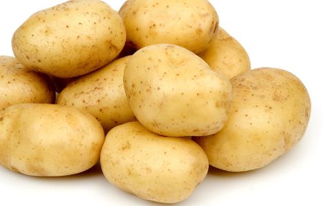 马铃薯高产栽培种植技术 马铃薯的高产栽培技术