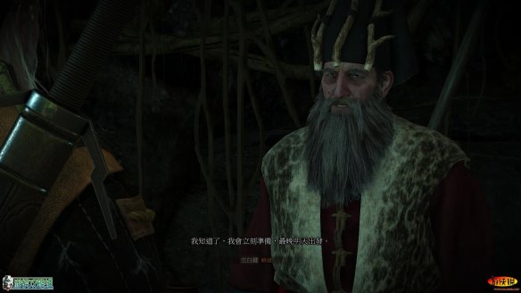 《巫师3：狂猎》强档攻略