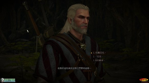 《巫师3：狂猎》强档攻略