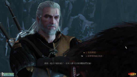 《巫师3：狂猎》强档攻略