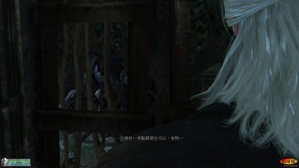 《巫师3：狂猎》强档攻略