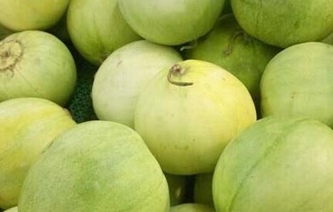 香瓜怎么种植 香瓜怎么种植视频