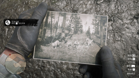 荒野大镖客2狼的照片怎么获得 狼的照片获得方法介绍