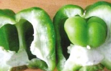 甜椒畸形果原因及预防方法 如何预防辣椒产生畸形果
