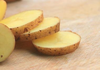 马铃薯是土豆还是红薯，两者的特征 马铃薯的特征是什么