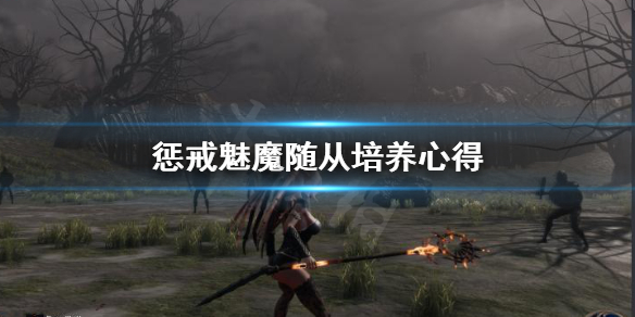 惩戒魅魔随从怎么培养 惩戒魅魔随从培养心得