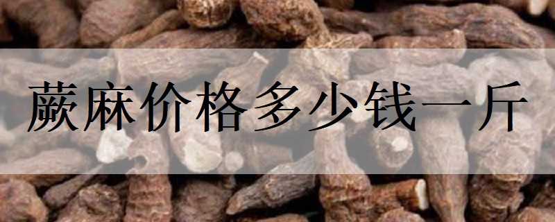 蕨麻价格多少钱一斤（蕨麻的价格）