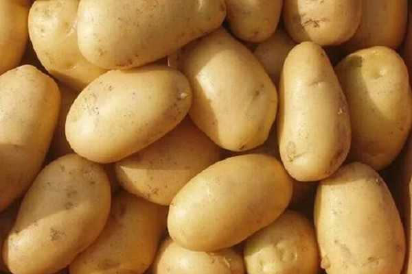 怎么判断土豆成熟可挖，成熟标志有哪些