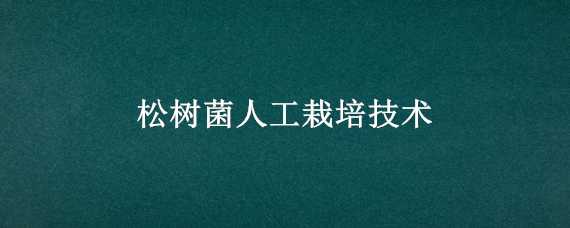 松树菌人工栽培技术 松树菌人工栽培技术规范