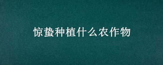 惊蛰种植什么农作物（惊蛰种植什么农作物最好）