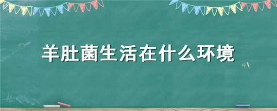 羊肚菌生活在什么环境（羊肚菌生活在什么环境下）