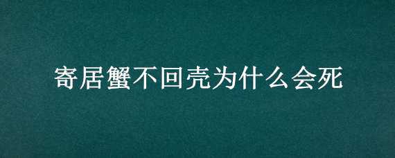 寄居蟹不回壳为什么会死（寄居蟹不回壳为什么会死掉）