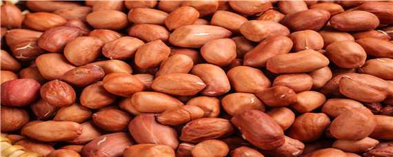 花生的种植方法及时间（花生的种植方法与时间与田间管理）