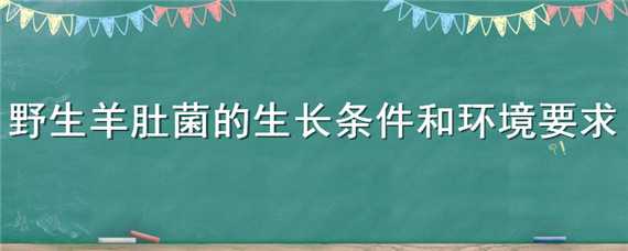 野生羊肚菌的生长条件和环境要求 野生羊肚菌的生长条件和环境要求有哪些